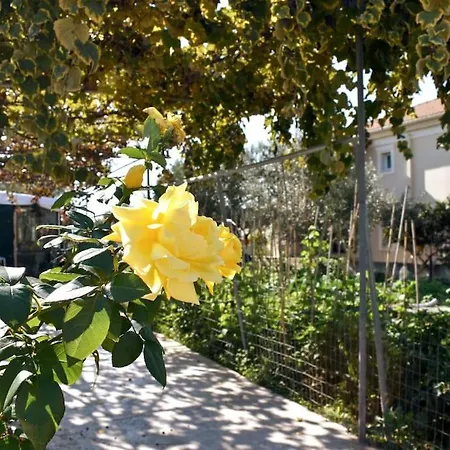 Appartamento Loft Città di Zante
